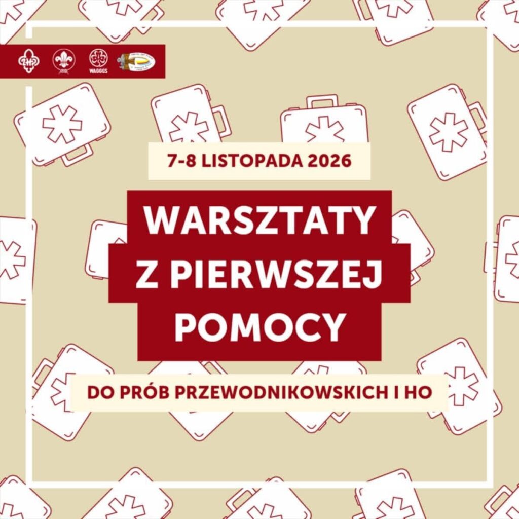 infografika
